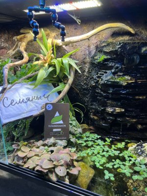 IMG_2745.jpeg IMG_2745.jpeg