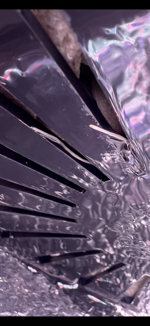 IMG_2775.png IMG_2775.png