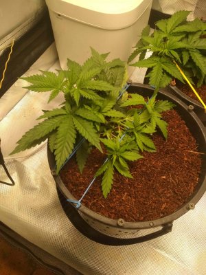 img_20230918_215255746.jpg img_20230918_215255746.jpg