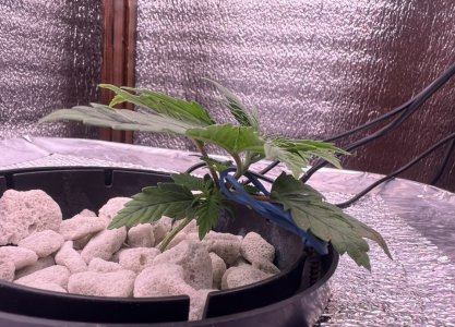 IMG_2834.jpeg IMG_2834.jpeg