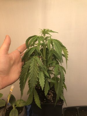 IMG_3848.jpeg IMG_3848.jpeg