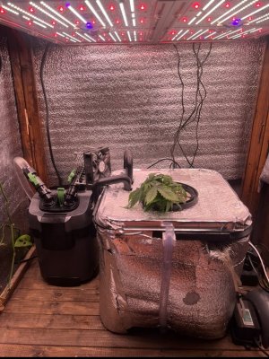 IMG_2901.jpeg IMG_2901.jpeg