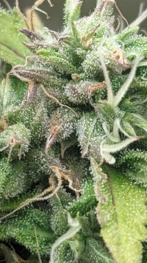 1695987057757.png 1695987057757.png