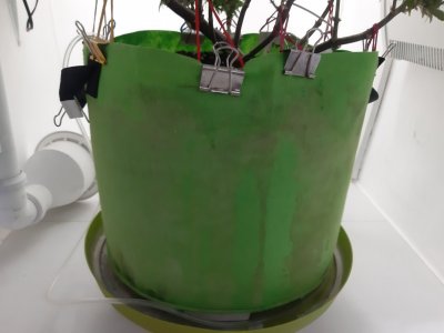 20231001_101011.jpg 20231001_101011.jpg