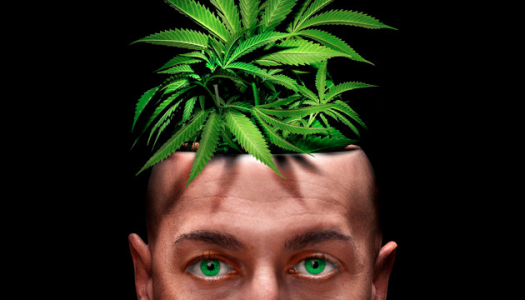 1612639735412.png 1612639735412.png