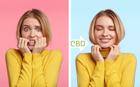 1612640002004.png 1612640002004.png