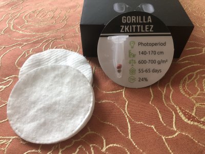 IMG_4402.jpeg IMG_4402.jpeg