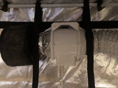 IMG_4376.jpeg IMG_4376.jpeg