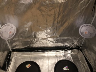 IMG_4371.jpeg IMG_4371.jpeg