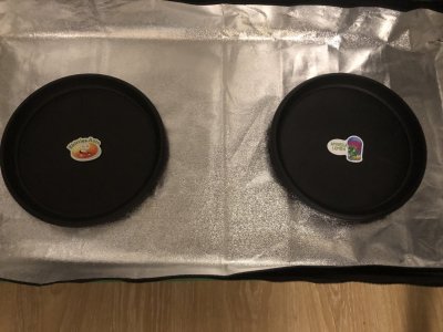 IMG_4358.jpeg IMG_4358.jpeg