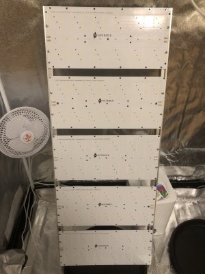 IMG_4394.jpeg IMG_4394.jpeg