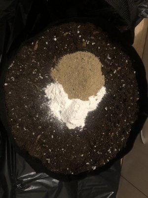 IMG_4454.JPG IMG_4454.JPG