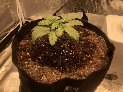 IMG_4464.JPG IMG_4464.JPG