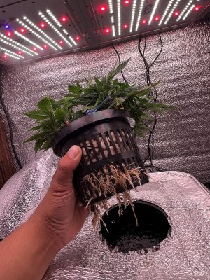 IMG_3013.jpeg IMG_3013.jpeg