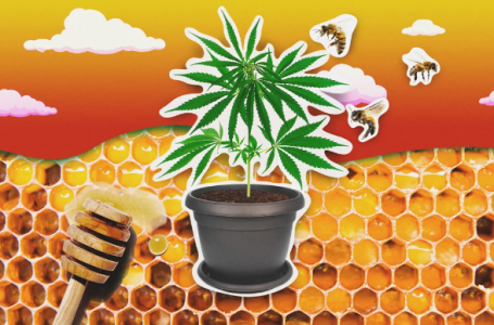 1697135530806.png 1697135530806.png