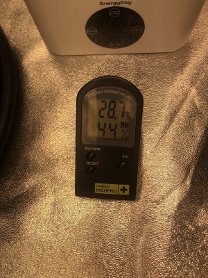 IMG_4486.jpeg IMG_4486.jpeg