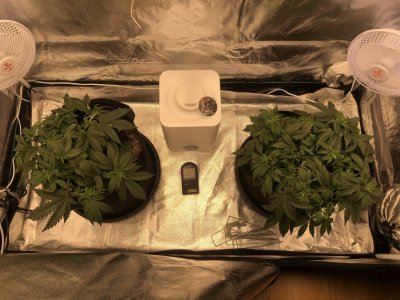 IMG_4496.jpeg IMG_4496.jpeg