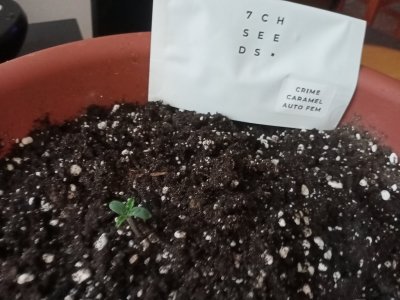 IMG20231021150150.jpg IMG20231021150150.jpg