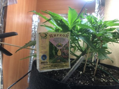 IMG_4860.jpeg IMG_4860.jpeg