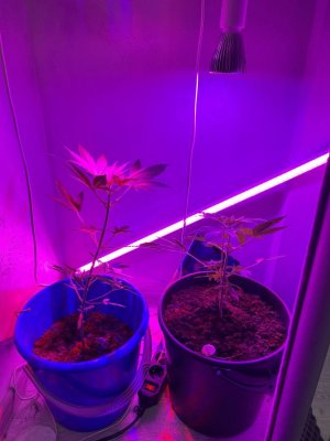 photo_2023-10-28_20-19-42.jpg photo_2023-10-28_20-19-42.jpg