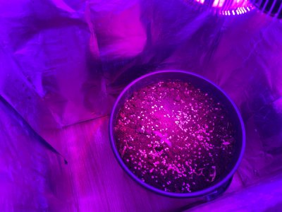 iDJLTN9y8Xk.jpg iDJLTN9y8Xk.jpg