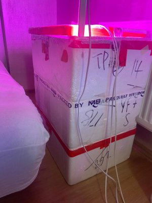 u468cIdwusw.jpg u468cIdwusw.jpg