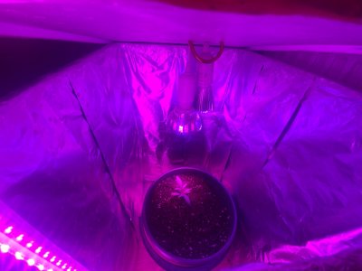 x-naT25WrG0.jpg x-naT25WrG0.jpg