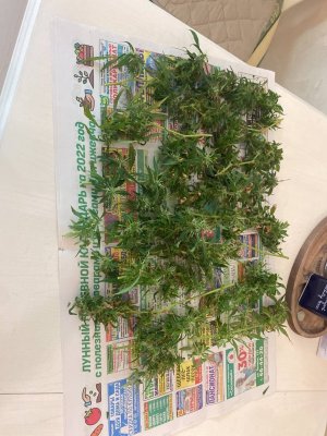 photo_2023-10-28_20-19-11.jpg photo_2023-10-28_20-19-11.jpg