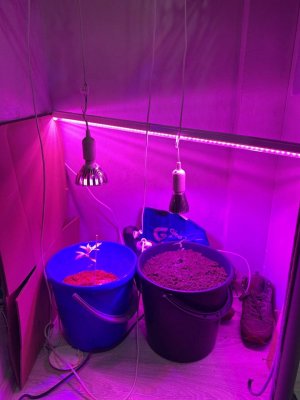 photo_2023-10-28_20-19-57.jpg photo_2023-10-28_20-19-57.jpg