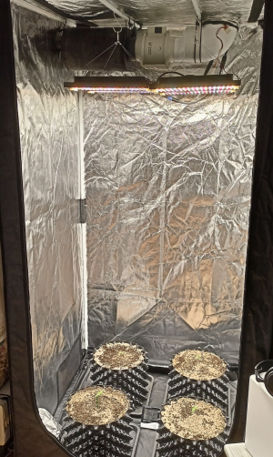 1698524450869.png 1698524450869.png