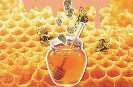 1698773785733.png 1698773785733.png