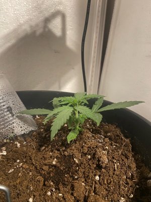 12 (2).jpg 12 (2).jpg