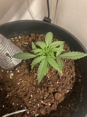 12 (4).jpg 12 (4).jpg