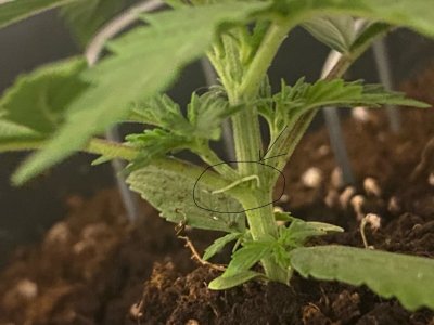 DKXgQtbMIWs.jpg DKXgQtbMIWs.jpg