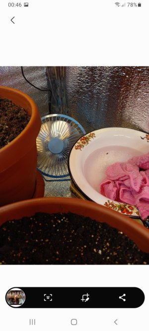 Screenshot_20220110-004653_Gallery.jpg Screenshot_20220110-004653_Gallery.jpg