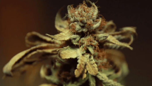 1641839311553.png 1641839311553.png