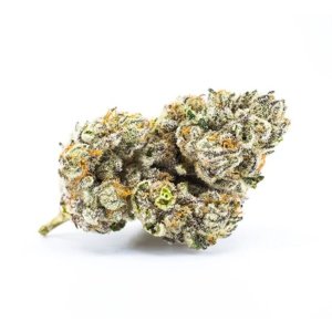 lava cake.jpg lava cake.jpg