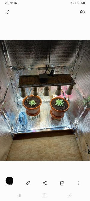 Screenshot_20220112-232606_Gallery.jpg Screenshot_20220112-232606_Gallery.jpg