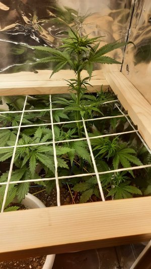 20211211_013718.jpg 20211211_013718.jpg