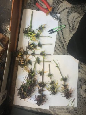 photo_2022-01-04_20-30-12.jpg photo_2022-01-04_20-30-12.jpg