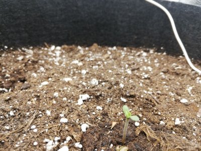 IMG_20220115_085848.jpg IMG_20220115_085848.jpg