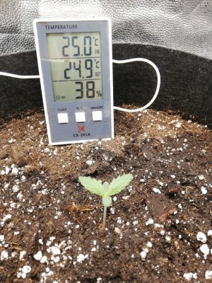 IMG_20220118_202412.jpg IMG_20220118_202412.jpg