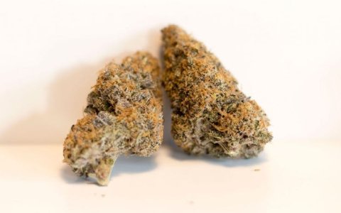 mendo breath.jpg mendo breath.jpg