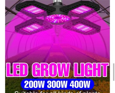 IMG_20220120_023120.jpg IMG_20220120_023120.jpg