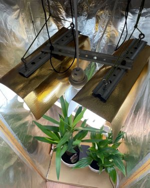 E0ADEDFF-26CD-4ABB-9579-265F5F635C8D.jpeg E0ADEDFF-26CD-4ABB-9579-265F5F635C8D.jpeg