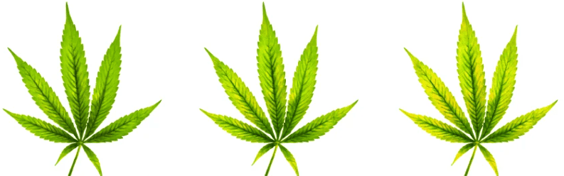 1643218080760.png 1643218080760.png