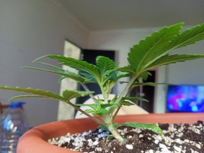 IMG20231106140847.jpg IMG20231106140847.jpg