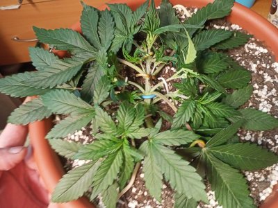 IMG20231112132319.jpg IMG20231112132319.jpg