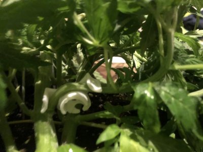 IMG_5044.jpeg IMG_5044.jpeg