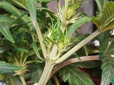 IMG20231119141903.jpg IMG20231119141903.jpg